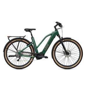 *GIANT SALES E-bikes