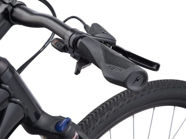 GIANT ROAM DISC 2 Giant