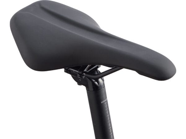 GIANT ROAM DISC 2 Giant