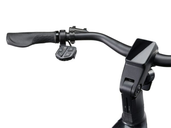GIANT ANYTOUR E+2 – Riem – 625Wh – 25km/u – 2024 Giant
